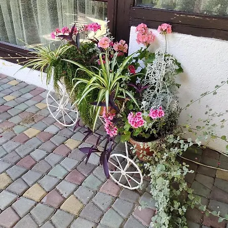 анасоль з чаном - джакузі басейн з підігрівом Guest house *