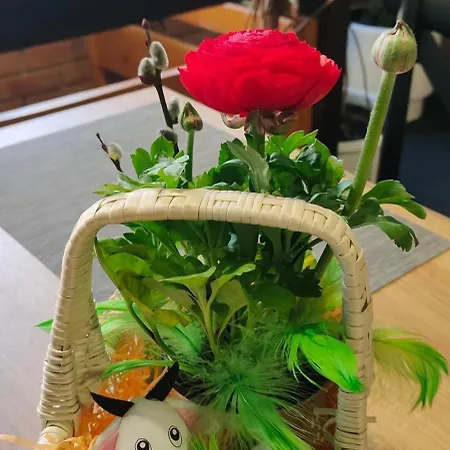 анасоль з чаном - джакузі басейн з підігрівом *