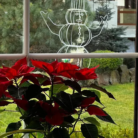 анасоль з чаном - джакузі басейн з підігрівом بيت ضيافة سلافسكي