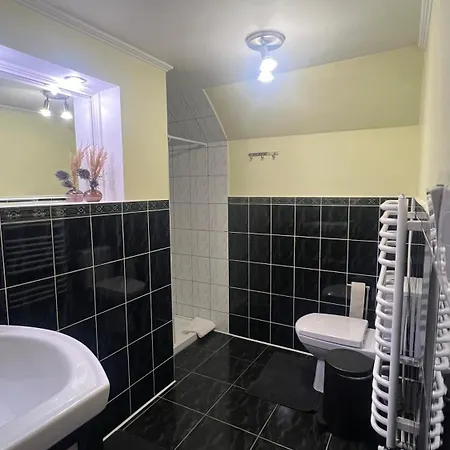 анасоль з чаном - джакузі басейн з підігрівом Guest house Slavske